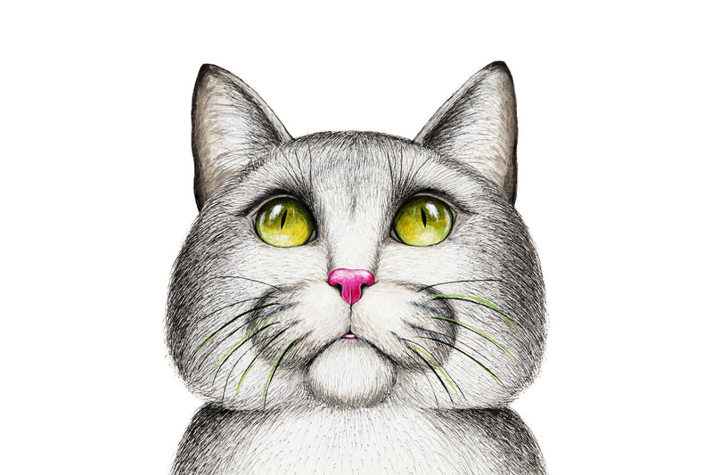 5 Wege, eine Katze zu malen