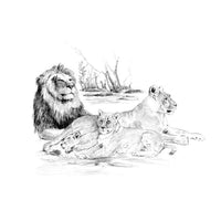 Комплект за скициране Royal & Langnickel – Лъвове