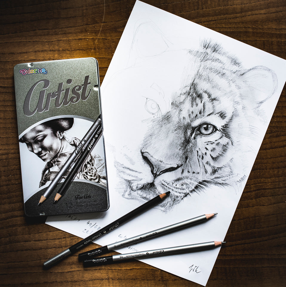 Colorino Artist комплект за рисуване с графитни моливи и въглени в метална кутия
