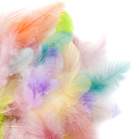 Декоративни пера 5 до 12 см - 5 гр - Pastel — изображение 1