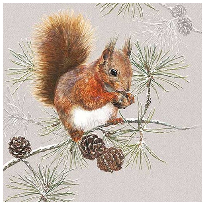 Еко салфетки за декупаж Squirell in Winter - 1 брой — изображение 1
