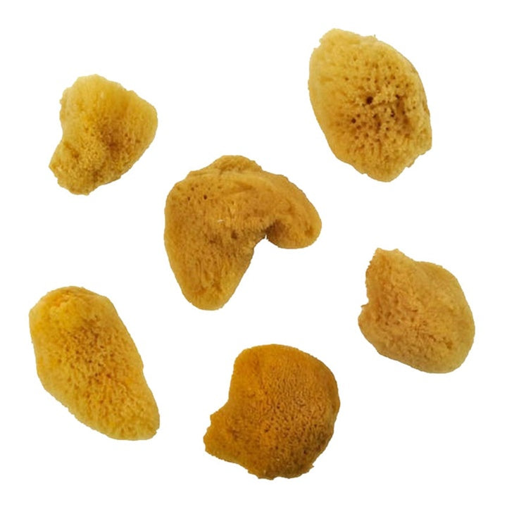 Естествени морски гъби малки Royal and Langnickel 6 бр. — изображение 2