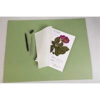 Хербарий CLAIREFONTAINE 180 g/m² 21 x 21 cm - 32 листа