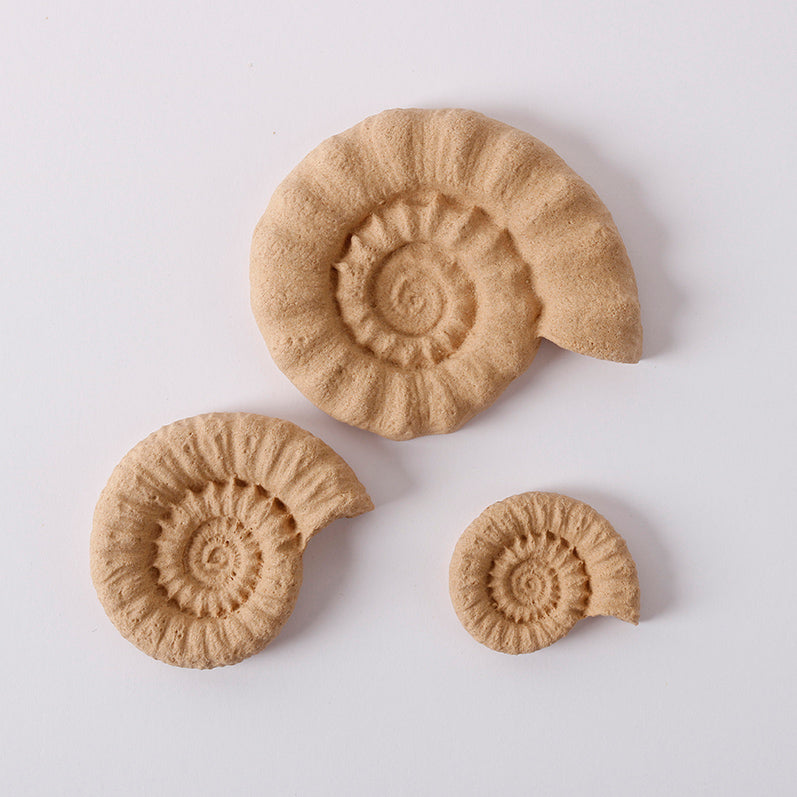 Pentart Elastic wood Shell set миди 6,5 x 5,5 см 3 бр.