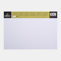 Скицник ROYAL TALENS Rembrandt Toned Industrial Grey 180 g - 50 листа, A3