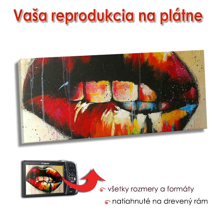 Репродукция върху платно - PANORAMA — изображение 1
