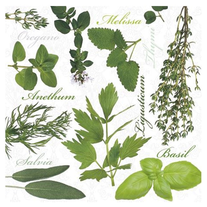 Салфетка за декупаж Herbs - 1 брой — изображение 1