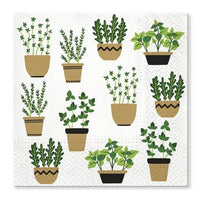 Салфетка за декупаж Herbs in Pot - 1 брой — изображение 1