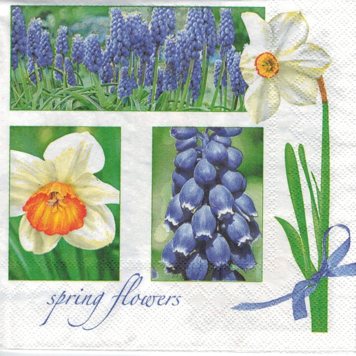 Салфетка за декупаж Muscari & Narcissus - 1 брой — изображение 1