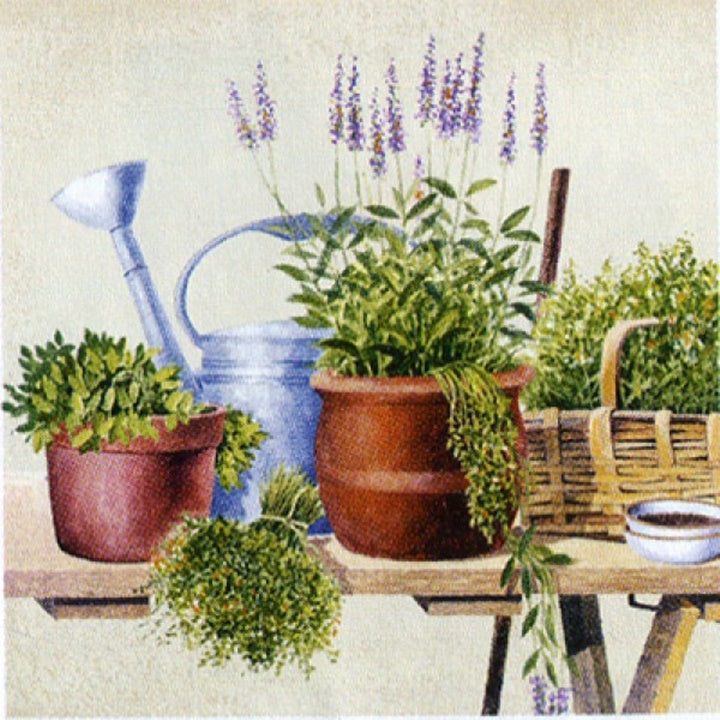 Салфетка за декупаж Potting Herbs - 1 брой — изображение 1