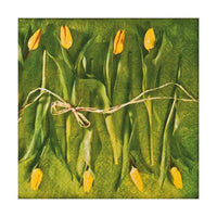 Салфетки за декупаж Fresh Tulips - 1 брой — изображение 1