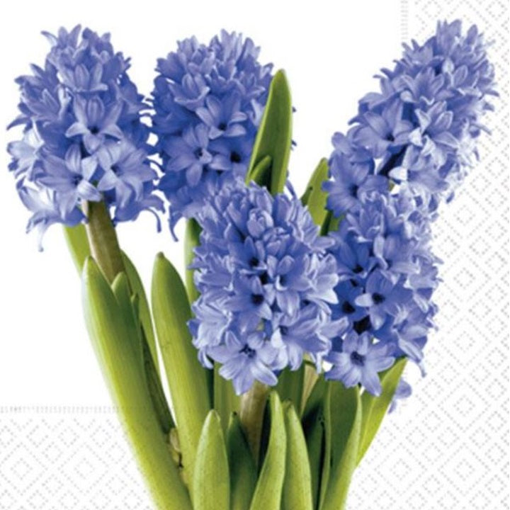 Салфетки за декупаж Hyacinths  - 1 брой — изображение 1