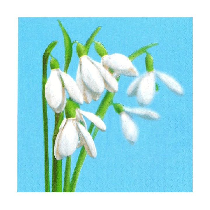 Салфетки за декупаж - Кокиче - 1 брой - SLWI006601 — изображение 1