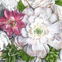 Салфетки за декупаж Succulent Plants and Stones Composition - 1 брой — изображение 1