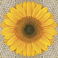 Салфетки за декупаж Sunflower on Seeds - 1 бр. — изображение 1