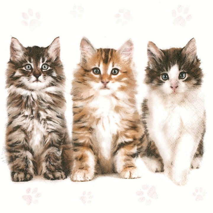 Салфетки за декупаж Three Beautiful Cats - 1 брой — изображение 1