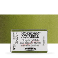 Schmincke Horadam акварелни бои в цяло контейнерче – 525 Olive Green Yellowish