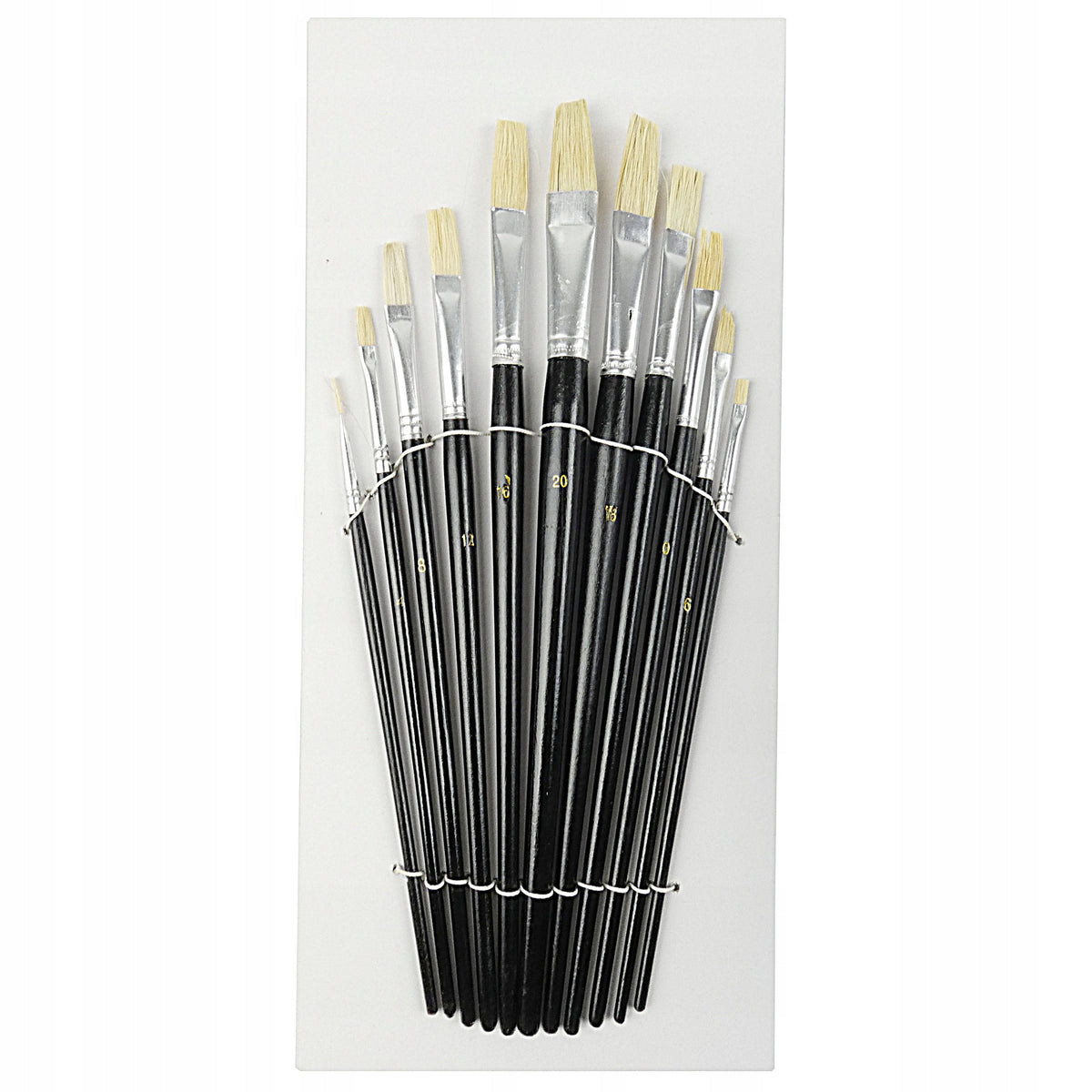 Set di 11 pennelli piatti Phoenix