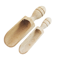 Spice-spoon pcs/pack – 1, 13x55 мм 6