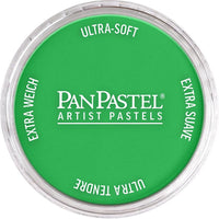 Пастелни цветове PanPastel Artist – 640.5 Постоянно зелено