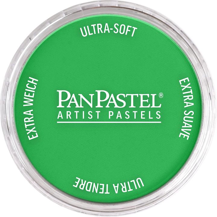Пастелни цветове PanPastel Artist – 640.5 Постоянно зелено