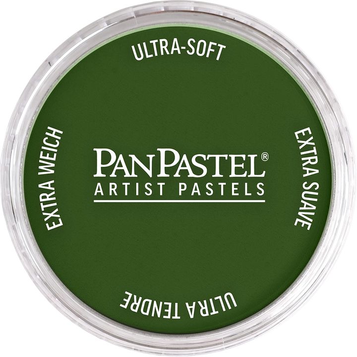Пастелни цветове PanPastel Artist – 660.5 Зелен хром оксид