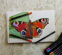 Posca KPA-100 24C маслени пастели, комплект, микс от цветове