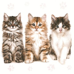 Салфетки за декупаж Three Beautiful Cats - 1 брой